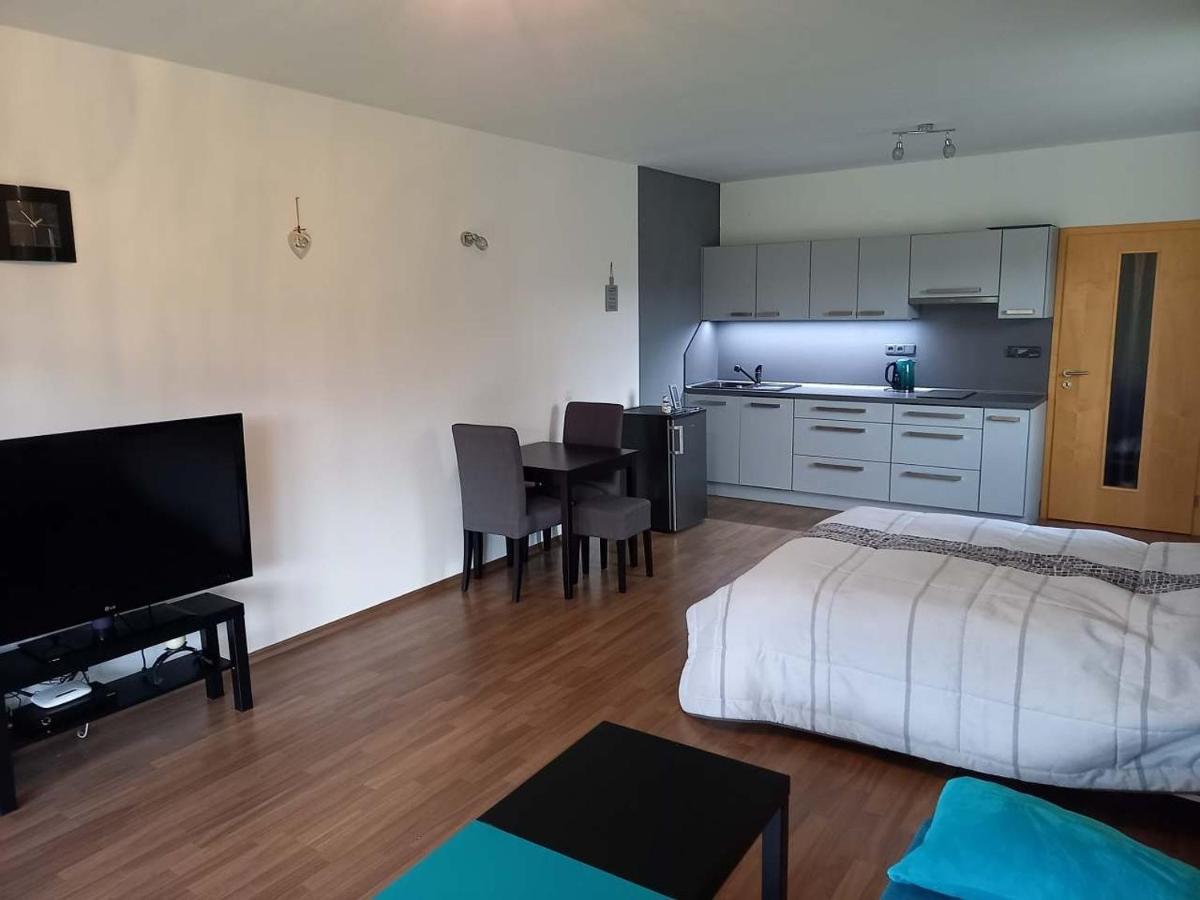 Apartmány Říčky ll Habitación foto